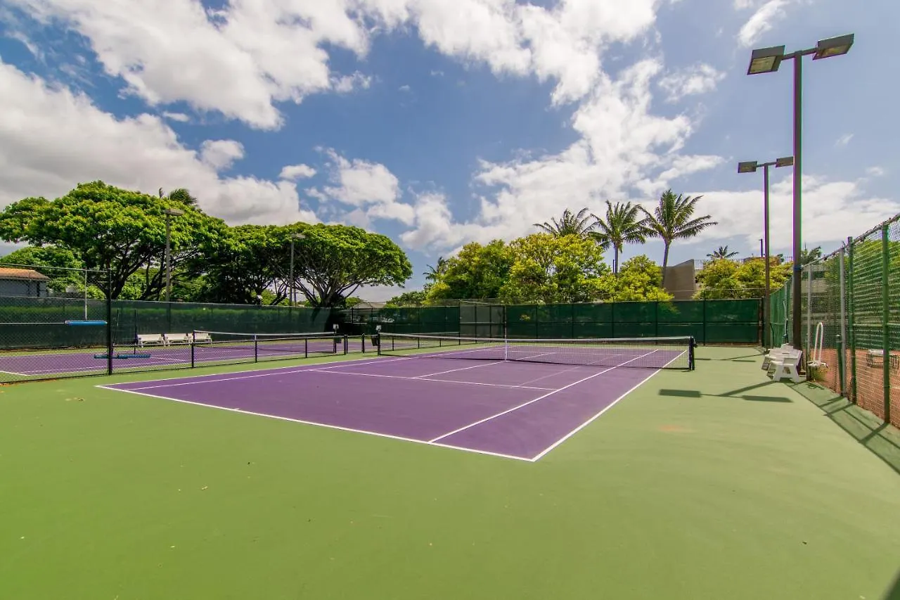 Papakea H301 Villa Kahana United States